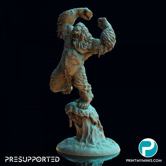 The Yeti Resin RPG Miniature - Print My Minis