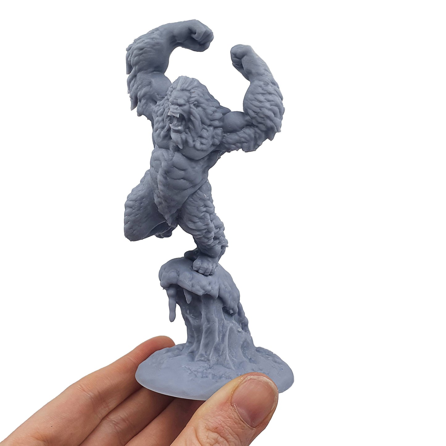 The Yeti Resin RPG Miniature - Print My Minis