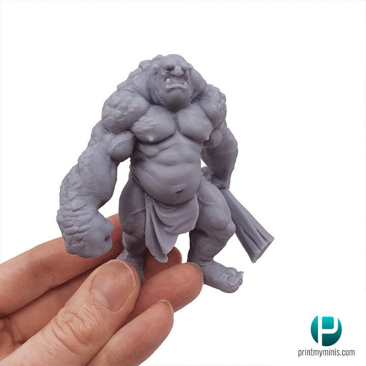 Stone Troll Rock Monster Resin RPG Miniature - Print My Minis