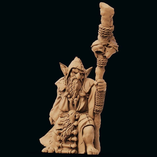 Goblin Wizard Resin RPG Miniature | Print My Minis