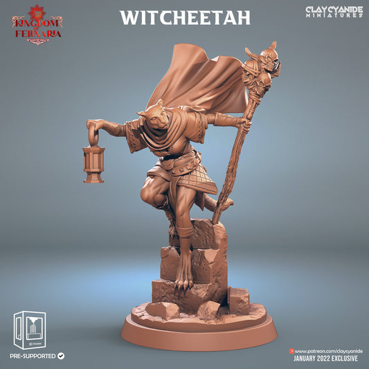 Witcheeta Feline Witch Resin Figure | Kingdom of Felinaria Series RPG Miniatures Tabletop | Clay Cyanide Miniatures