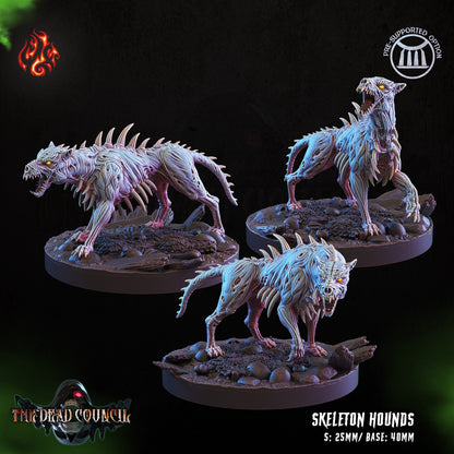 Skeletal Hounds Tabletop RPG Miniature Set | The Dead Council Collection | Crippled God Foundry